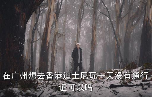廣州哪里可以不用通行證，廣州沒有護照和通行證能去嗎