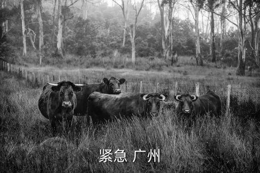 廣州*全國關注，廣州海珠區一酒樓廚房檢出H7N9病毒好嚇人啊我就在海珠區啊