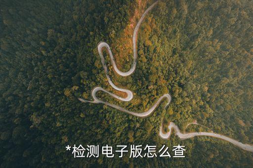 廣州市*檢測人數統計表，*檢測電子版怎么查