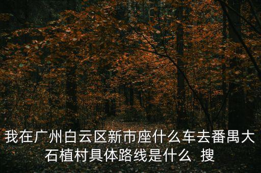 我在廣州白云區新市座什么車去番禺大石植村具體路線是什么  搜