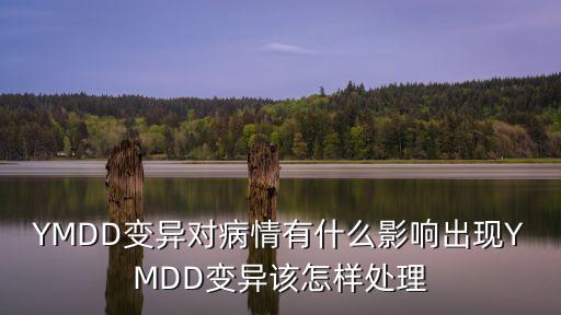 廣州變異毒株插管，新毒株XBB為什么來(lái)勢(shì)洶洶