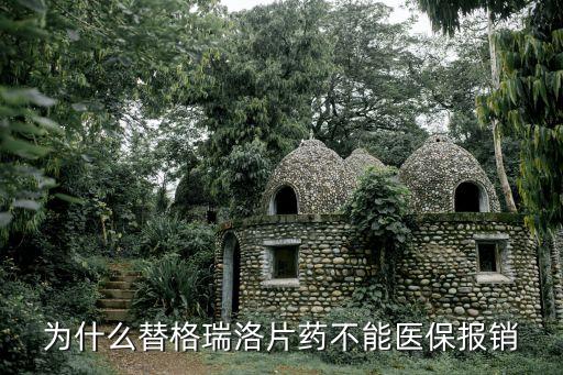 替格瑞洛是廣州醫保藥嗎，為什么替格瑞洛片藥不能醫保報銷
