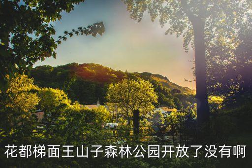 廣州*旅游景點(diǎn)開放了嗎，廣州那些公園免費(fèi)開放了