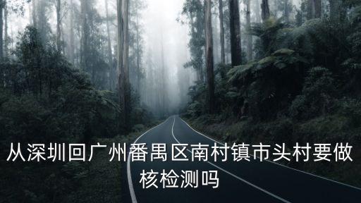 廣州回到深圳后需要再做*么，從深圳回廣州番禺區南村鎮市頭村要做核檢測嗎