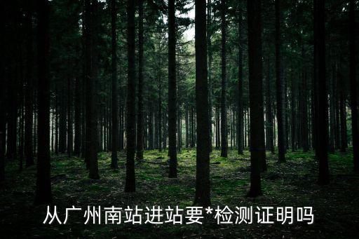 從廣州南站進站要*檢測證明嗎