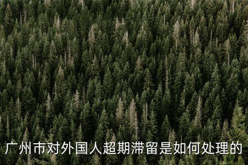 廣州市對外國人超期滯留是如何處理的