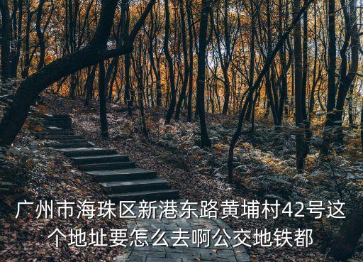 廣州海珠區*活動軌跡，廣州市海珠區藝州路2961號琴海居這個地方是屬于廣州市中心嗎