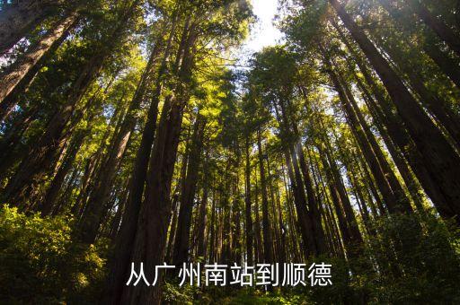 從廣州南站到順德