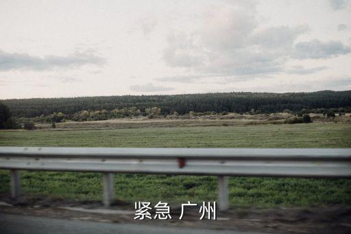 緊急 廣州