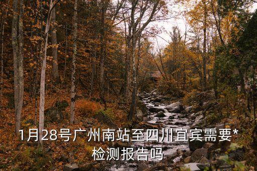 1月28號廣州南站至四川宜賓需要*檢測報告嗎