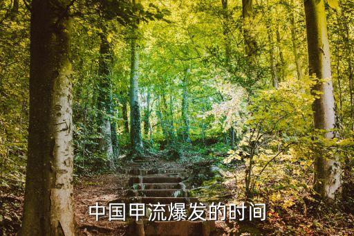 中國甲流爆發的時間