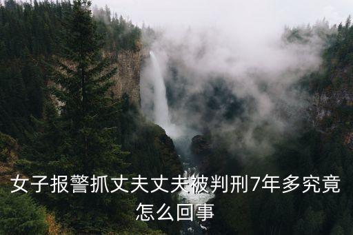 廣州夫婦判刑，楊樂樂閨蜜涉嫌什么罪