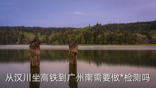 四川到廣州南站要*檢測嗎，從漢川坐高鐵到廣州南需要做*檢測嗎