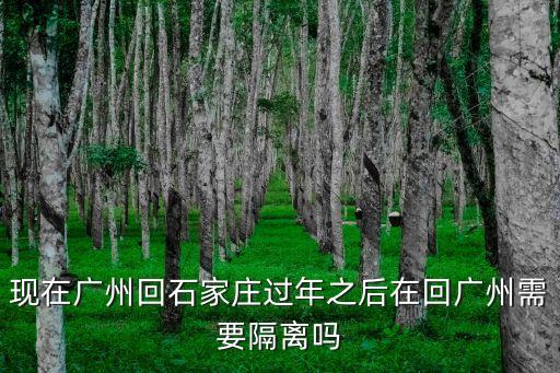 石家莊和廣州哪個*嚴重，杭州武漢廣州河南石家莊哪個不是同一類