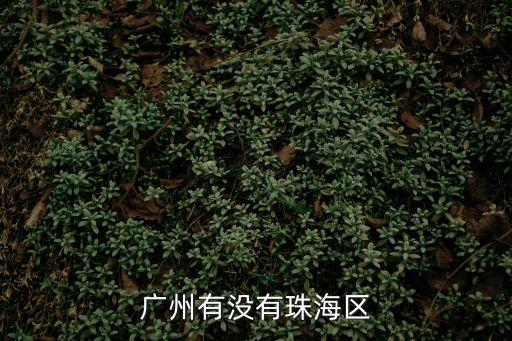 廣州中風險地區有海珠區嗎，廣州有沒有珠海區