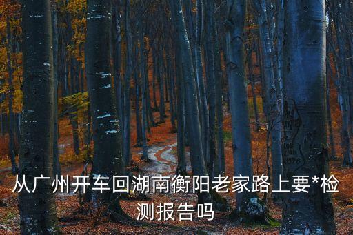從廣州開車回湖南衡陽老家路上要*檢測報告嗎