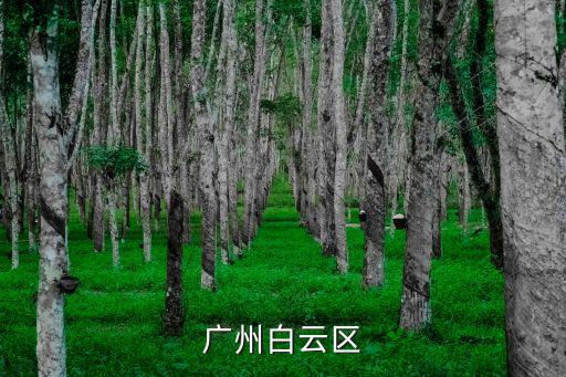 廣州白云區(qū)大源*消息，廣州白云區(qū)
