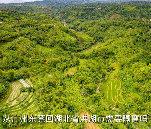 廣州新塘回湖北要隔離嗎，從廣州東莞回湖北省洪湖市需要隔離嗎