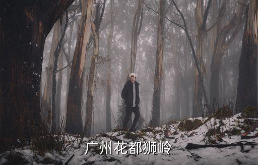 廣州花都*獅嶺，廣州花都獅嶺