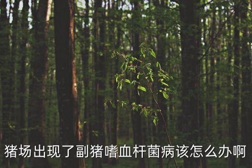 豬場出現了副豬嗜血桿菌病該怎么辦啊