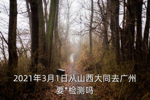 2021年3月1日從山西大同去廣州要*檢測嗎