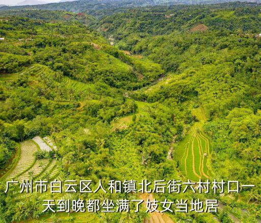 廣州市白云區新大源*，從廣州市白云區大源怎么去崗貝路口站