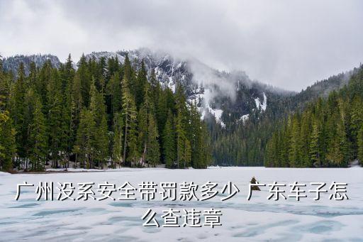 廣州市區開車安全，廣州市里開車新手要注意什么才不違規
