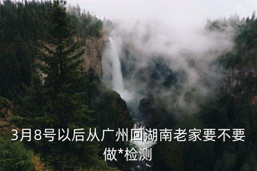 3月8號以后從廣州回湖南老家要不要做*檢測