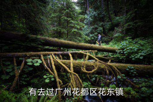 廣州市花都區花東鎮有*嗎，在1日25日之前從廣西靈山陸屋岀發去廣州花東鎮需要做*檢查嗎