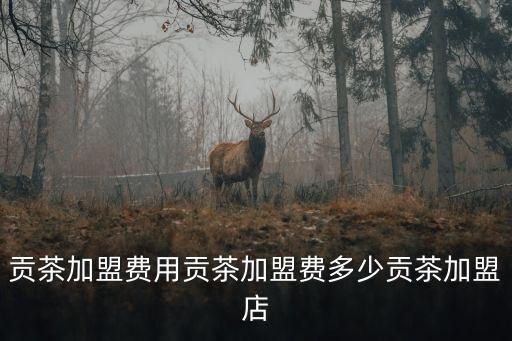 廣州德贊貢茶加盟，廣州德贊公司正規嗎寸茶