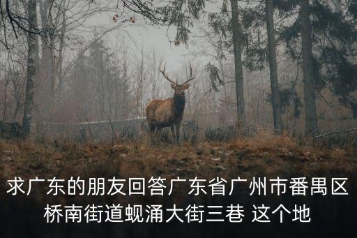 求廣東的朋友回答廣東省廣州市番禺區橋南街道蜆涌大街三巷 這個地