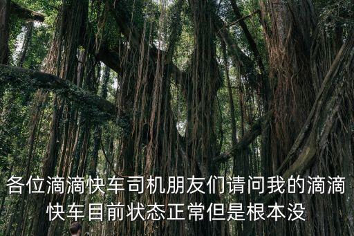 廣州*滴滴沒單，想問一下現在流行的滴滴出行有些地方實行交通管制接不接