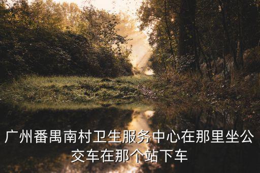 廣州*番禺區南村，廣州番禺南村衛生服務中心在那里坐公交車在那個站下車