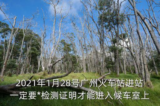廣州*要什么才能出行，2021年1月28號廣州火車站進站一定要*檢測證明才能進入候車室上