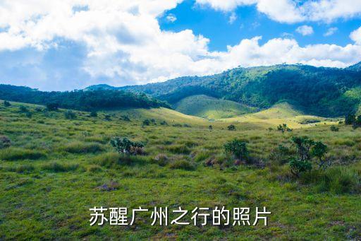 蘇醒廣州之行的照片