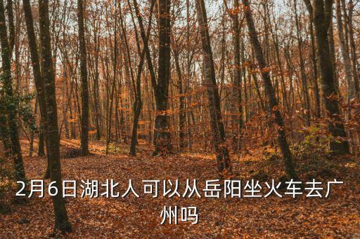 2月6日湖北人可以從岳陽坐火車去廣州嗎