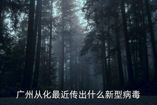 廣州預警最新*，廣州從化最近傳出什么新型病毒