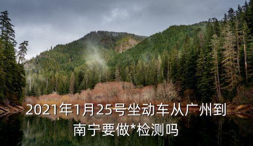 南寧與廣州*，2021年1月25號坐動車從廣州到南寧要做*檢測嗎