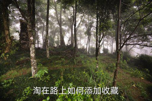 廣州最新病例去過(guò)的地方，淘在路上如何添加收藏