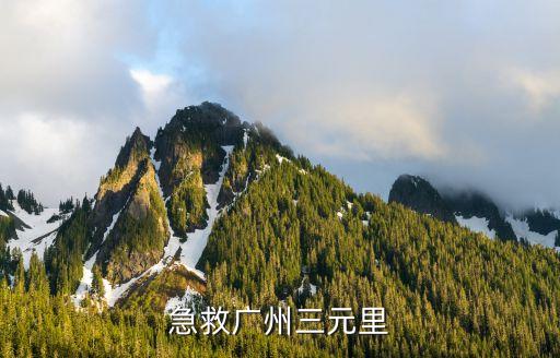 廣州*救治視頻，急救廣州三元里