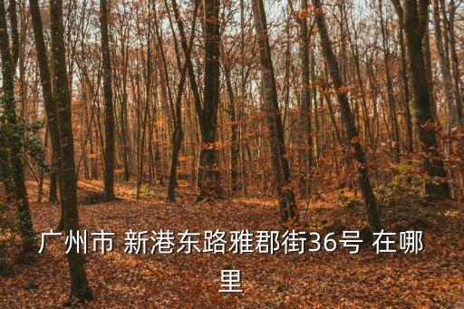 廣州黃埔區(qū)第二輪*檢測點，廣州市 新港東路雅郡街36號 在哪里
