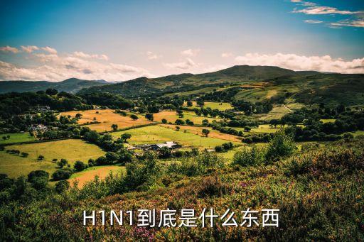 廣州變異毒株傳播鏈，新毒株XBB為什么來勢洶洶