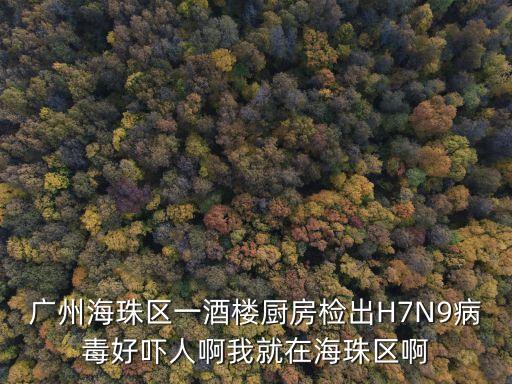 廣州阿婆發現*，2012816 1813左右廣州市珠江新城興國路上方露出的藍天中發現金
