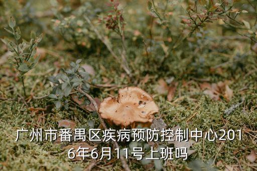廣州番禺*檢測排隊，番禺市橋街華薈路的具體地址