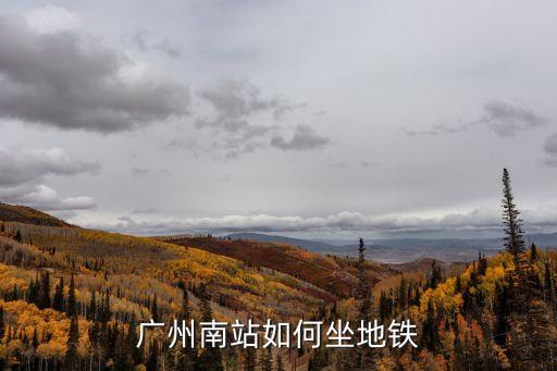 廣州南站乘坐地鐵要*，從廣州南站到重慶西過(guò)程中需要*檢測(cè)嗎