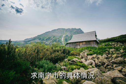 廣州南寧區(qū)*，南寧市H1N1流感