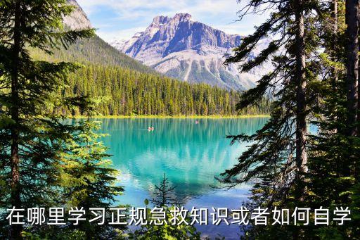 急救培訓，北京急救培訓中心都有哪些啊