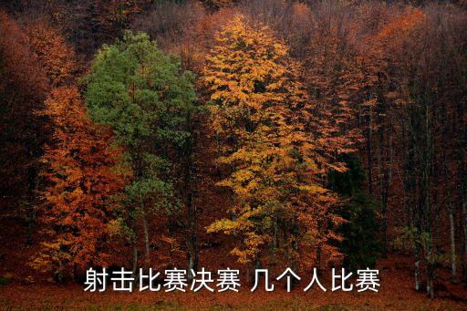 射擊比賽決賽 幾個人比賽