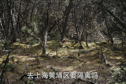 廣州黃埔有*嘛，廣州黃埔有什么好玩的地方適合帶女朋友玩的