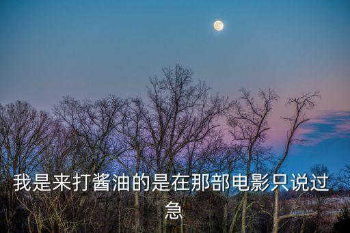 我是來打醬油的是在那部電影只說過 急